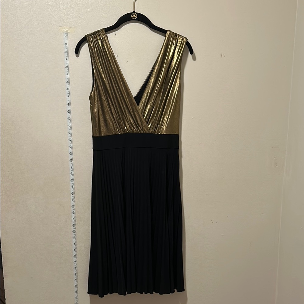 Max and Cleo Black Gold Metallic Sleeveless V-Neck Pleated Party Dress